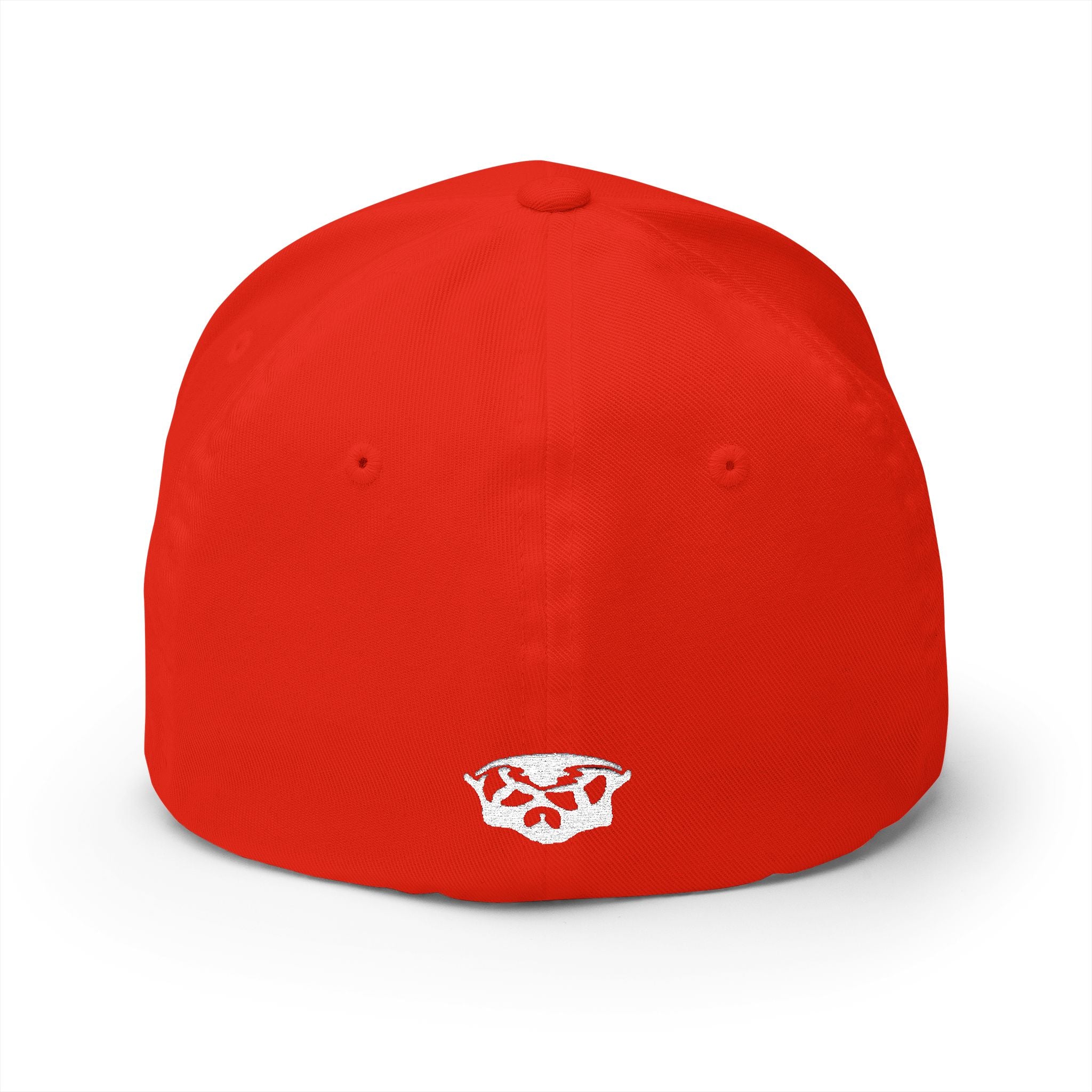 CROOKED Fitted hat (Embroidery)