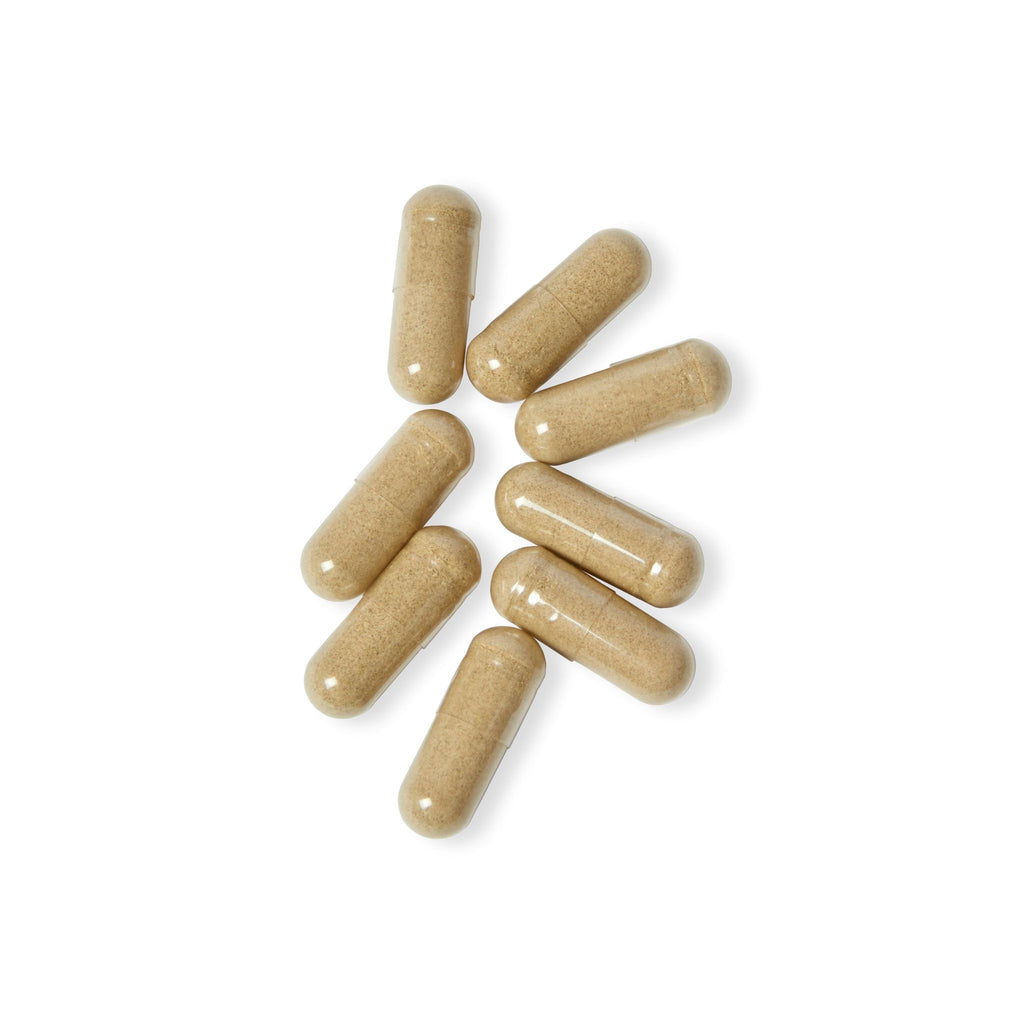 ACIA BERRY Supplement (60 Capsules)